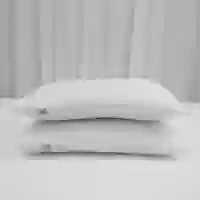 02 gối nằm bông ép