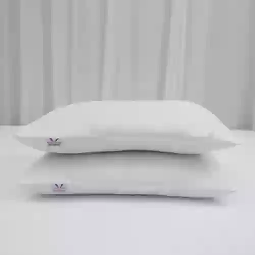 02 gối nằm bông ép