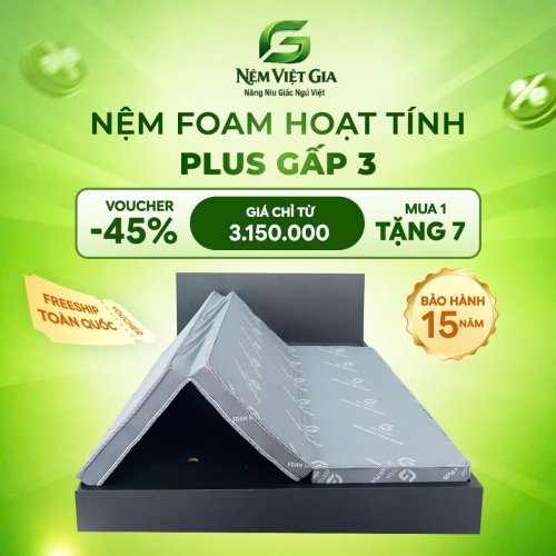 NỆM FOAM HOẠT TÍNH PLUS GẤP 3