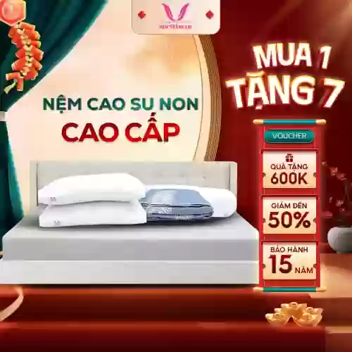 Nệm cao su non Thắng Lợi Cao Cấp