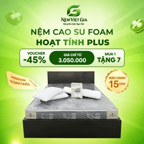 NỆM CAO SU FOAM HOẠT TÍNH PLUS VIỆT GIA