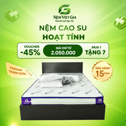 NỆM CAO SU HOẠT TÍNH VIỆT GIA