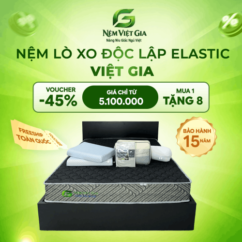 NỆM LÒ XO ĐỘC LẬP ELASTIC VIỆT GIA