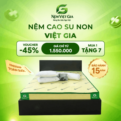 NỆM CAO SU NON VIỆT GIA
