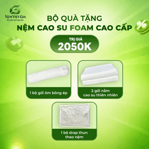 NỆM CAO SU FOAM HOẠT TÍNH PLUS VIỆT GIA