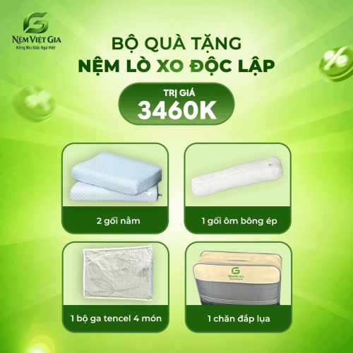 NỆM LÒ XO ĐỘC LẬP ELASTIC VIỆT GIA