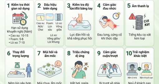10 Mẹo Kiểm Tra Tuổi Thọ Nệm Cực Chính Xác Trước Khi Thay Mới
