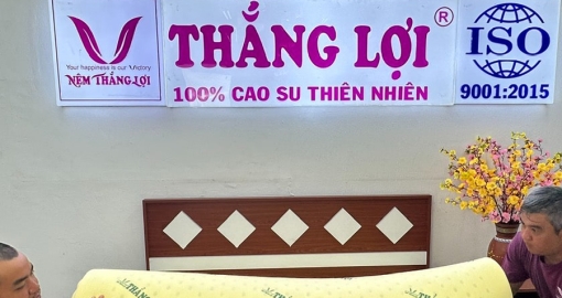 Nệm Cao Su Non Thắng Lợi sản phẩm bán chạy nhất năm 2025