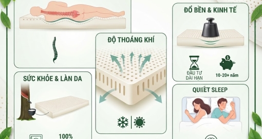 5 Lý Do Bạn Nên Chọn Nệm Cao Su Thiên Nhiên Cho Phòng Ngủ