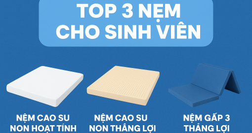 Các dòng nệm phù hợp với giá tiền sinh viên – Giấc ngủ ngon cùng Nệm Thắng Lợi