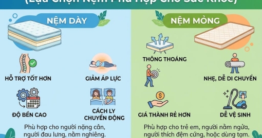 Nệm Dày Hay Mỏng Tốt Hơn? Cách Chọn Độ Dày Chuẩn Cho Giấc Ngủ
