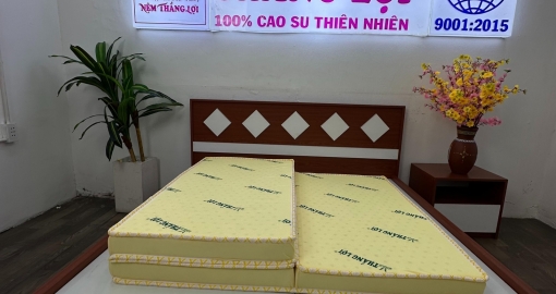 Đánh giá Nệm Việt Gia gấp 3 – Giải pháp tiện lợi cho không gian nhỏ